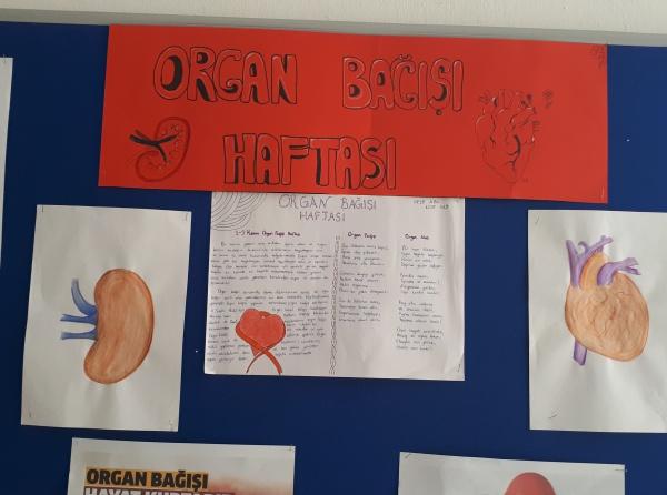 Organ Bağışı Haftası Panomuz